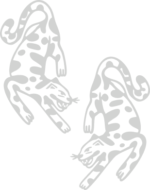 Imagen de dos jaguares